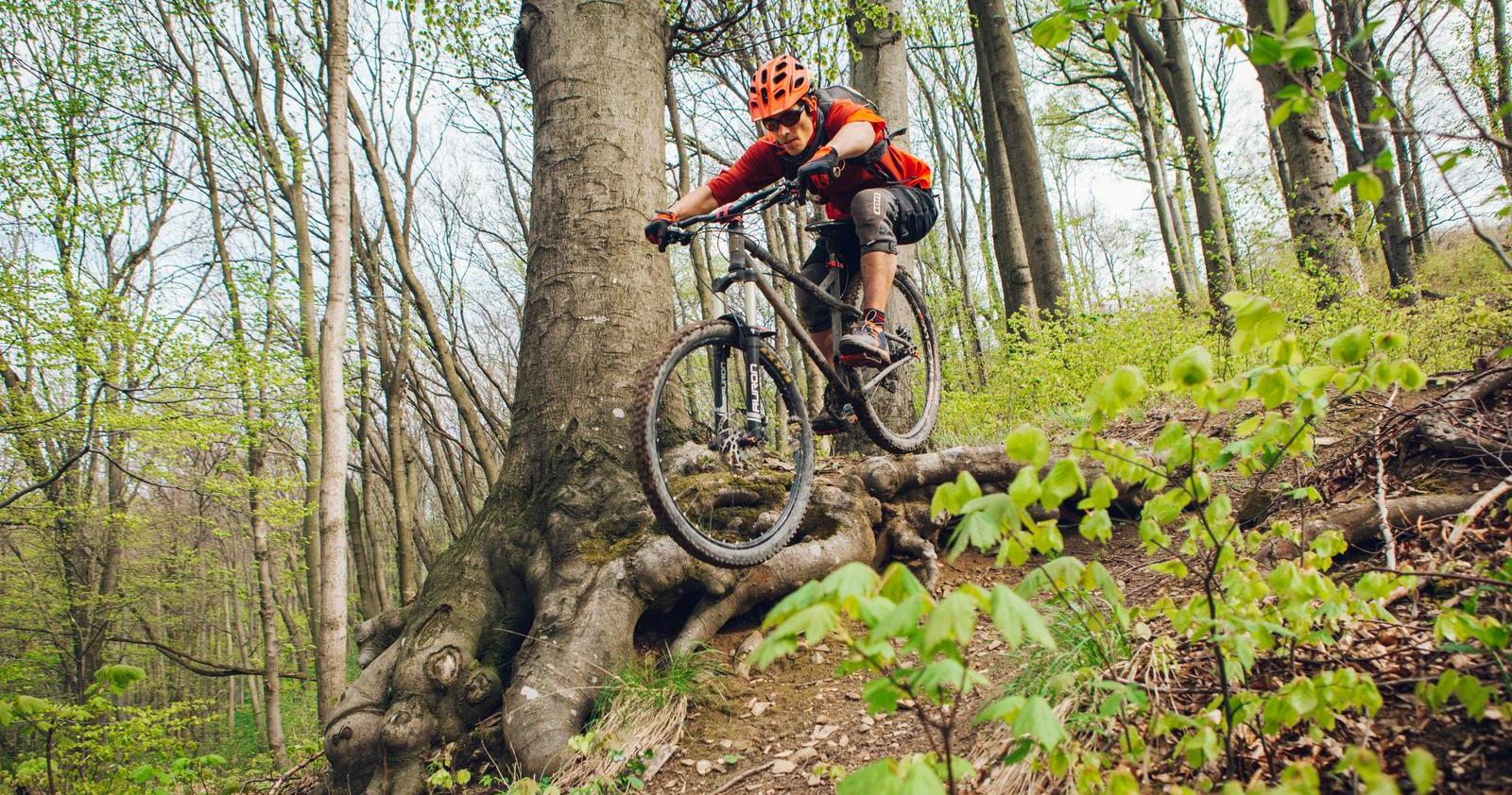 MTB Progression - Mountain Bike Training Courses Nottingham